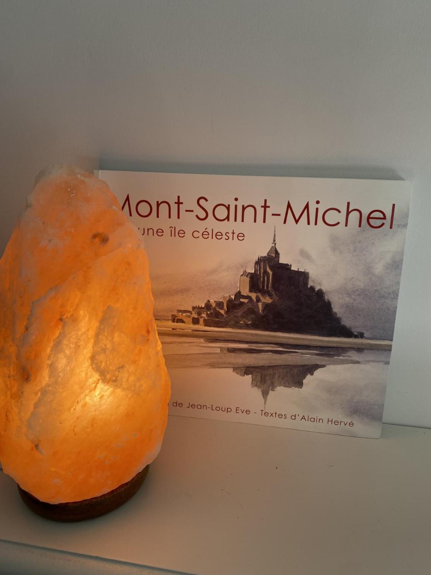 L'Oree Du Mont Proche Du Mont Saint Michel Pontorson Dış mekan fotoğraf